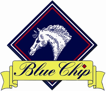 Blue Chip Sponsorship Offer